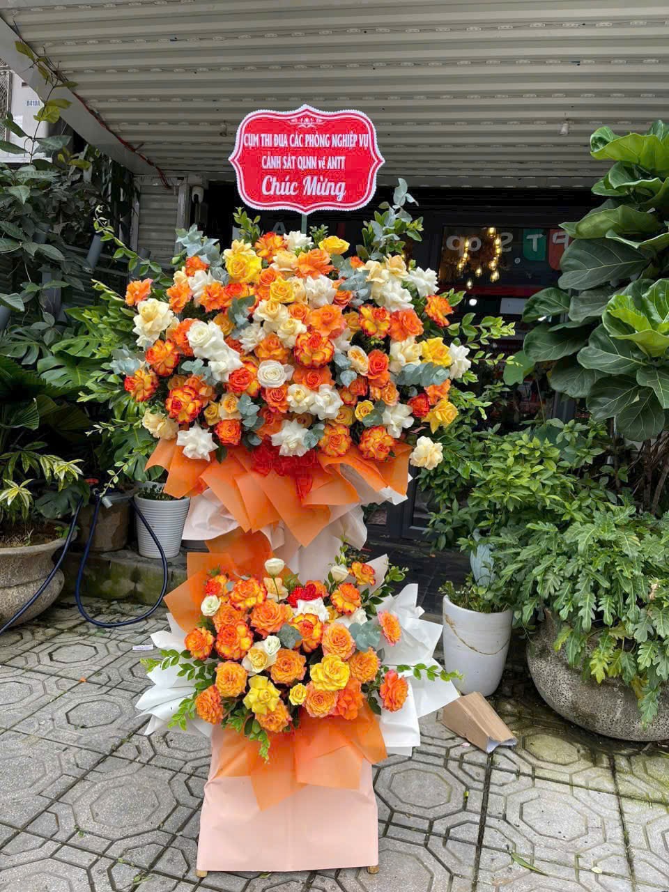 Kệ hồng cam hai tầng