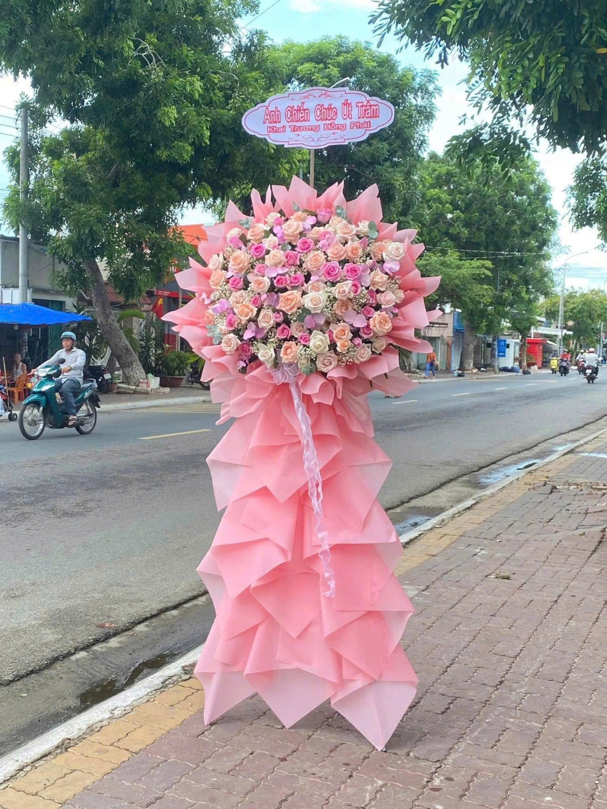 Kệ hồng pastel